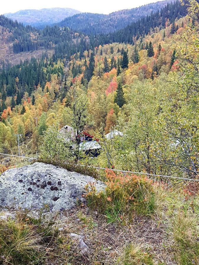 Leilighet I Amotsdal Dış mekan fotoğraf