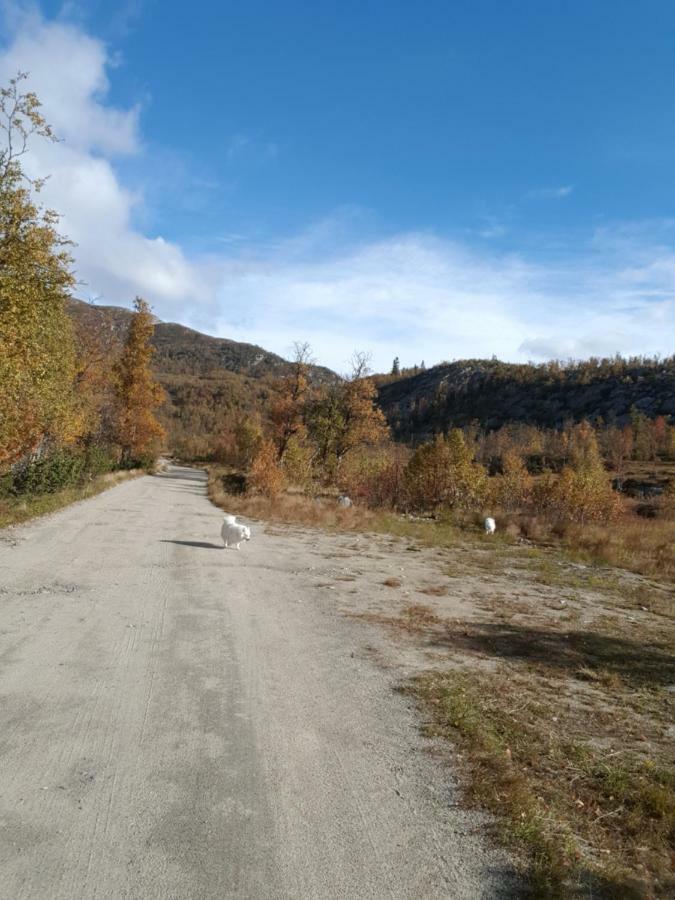 Leilighet I Amotsdal Dış mekan fotoğraf
