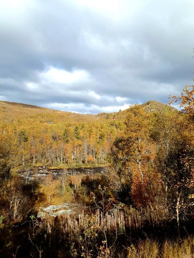 Leilighet I Amotsdal Dış mekan fotoğraf